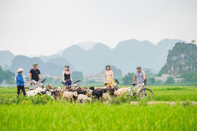 Full day Hoa Lu - Tam Coc sampan boat and countryside biking trip - Cycling the countryside: the active part that still feels relaxed