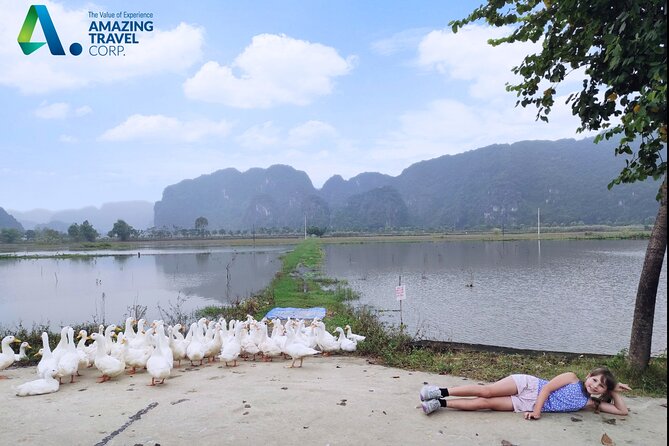 Full Day Private Tour in Ninh Binh(Trang An-Bich Dong-Mua Cave) - What You’re Really Paying For at $139 Per Person