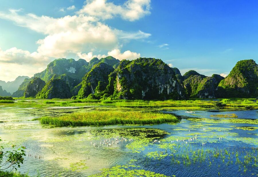 Full Day Trang An, Bich Dong Pagoda, Biking & Family Visit - Lunch in Ninh Binh: local cuisine that keeps the day balanced