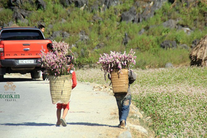 Ha Giang 3 days/ 2 nights adventure: Amazing adventure & mountain pictureques - Morning pickup from Hanoi: starting with momentum, not fuss
