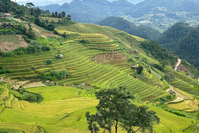 Ha Giang Comfort Car Ride 4D3N - Day 1: Thon Tha Village for the slow, human start