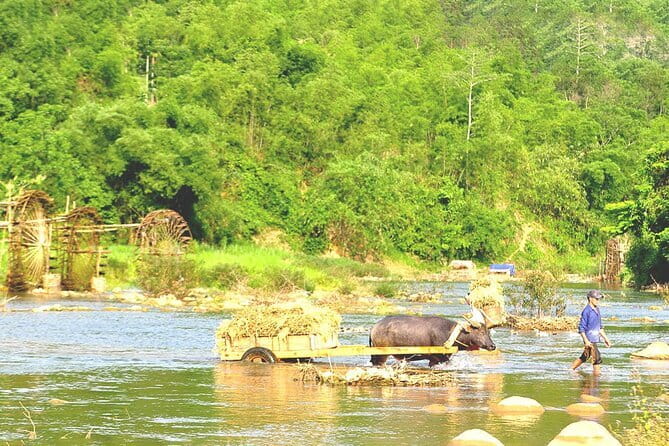 Ha Giang Loop Motorbike Tour 3 Days from Hanoi Private Room - Accommodations and food: homestays plus real local meals