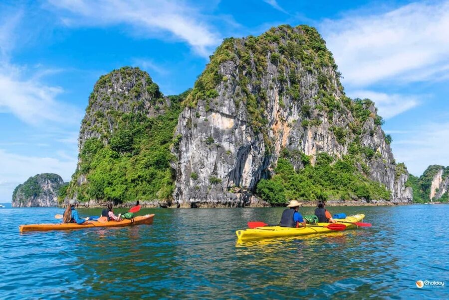 Ha Long 1 Day Luxury Small Group & Kayaking - Sung Sot Cave: The Surprise Cave and What to Look For
