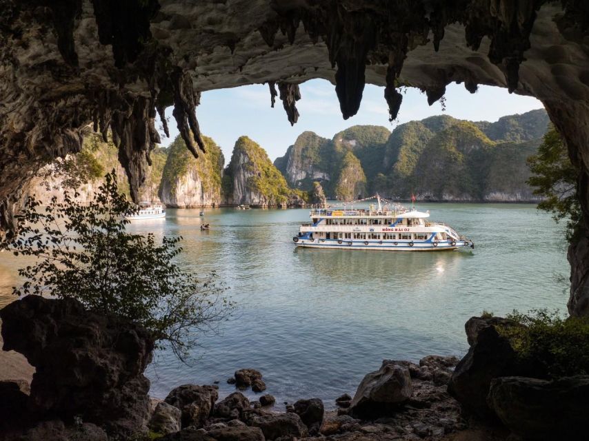 Ha Long: Afternoon Cruise with Lunch, Kayaking, and Swimming - Key Highlights You’ll Actually Care About