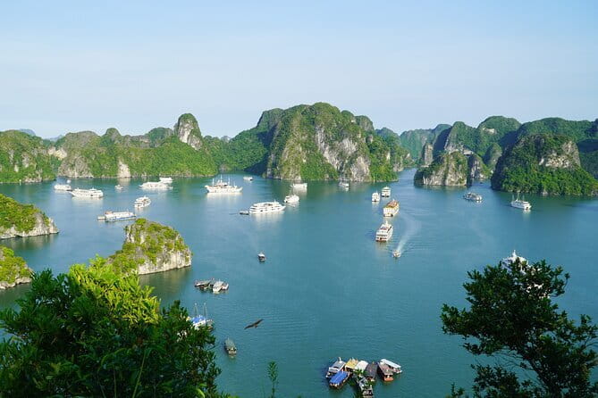 Ha Long Bay 1 Day Joined Luxury Tour - From Hanoi to Tuan Chau: How the Day Gets Moving