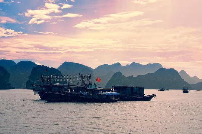 Ha Long Bay 1 Day Tour - Ba Hang fishing village interaction: the human side