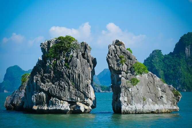Ha Long Bay Cruise Day Tour-Cave, Kayaking,Ti top island & Lunch - Lunch onboard: seafood set menu, vegetarian possible, timing matters