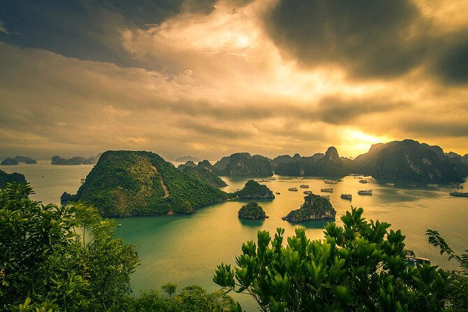 Ha Long Bay Cruise Day Tour-Cave, Kayaking,Ti top island & Lunch - Surprise Cave (Sung Sot): the stair climb that sets the tone