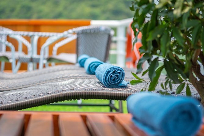 Ha Long Bay Cruise Day Tour with lunch, kayaking, surprise cave & titop island - Lunch and snacks: a real meal (and vegetarian options)