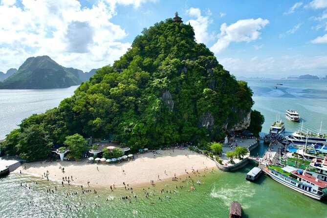 Ha Long Bay Day Cruise From Ha Noi - Surprising Cave: Stalagmites, Stalactites, and a Practical Stop