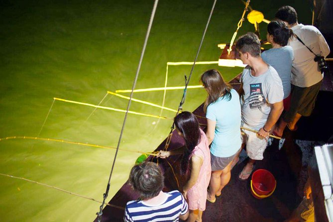 Ha Long Bay & Lan Ha Bay 2D1N on 5-star Cruises - Activities You’ll Actually Want to Pick: Kayak, Cave, Tai Chi, Squid Fishing