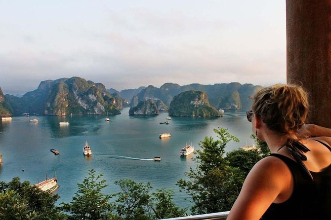 Ha Long Bay Luxury Cruise 1 Day - Hang Luon Cave: Kayak or Bamboo Boat for Real Water Time