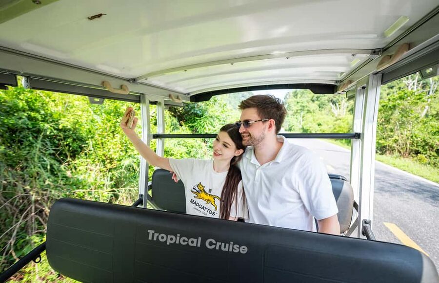 Ha Long Bay Luxury Day Cruise with Buffet Lunch - The long day reality: timing, pacing, and group atmosphere