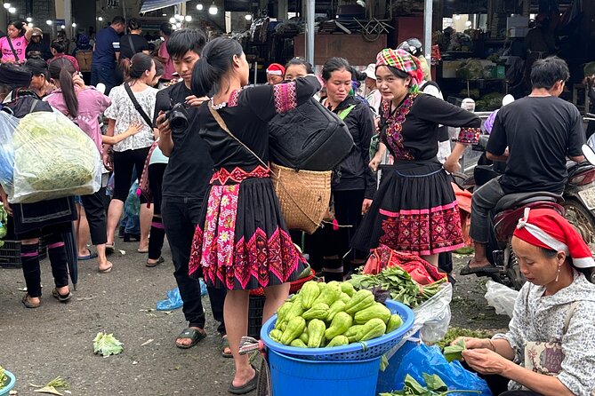 Ha Noi Car Transfer to Sapa or Vice Versa - Price and Value: Is $130 Worth It?