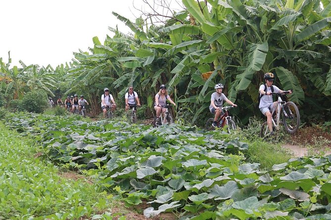 Half-Day Bicycle Tour Combine City & Countryside + Train Street - Duong Tau Train Street: Watching Daily Life Happen at Trackside