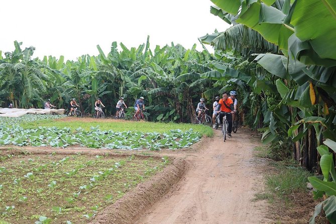 Half-Day Bicycle Tour Combine City & Countryside + Train Street - Before You Pedal: Bikes, Helmet, and a City-Riding Briefing