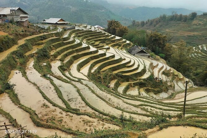 Half-Day Private Muong Hoa Valley Trek and Ethnic Tribes Tour - Sapa’s quick route to the Muong Hoa Valley