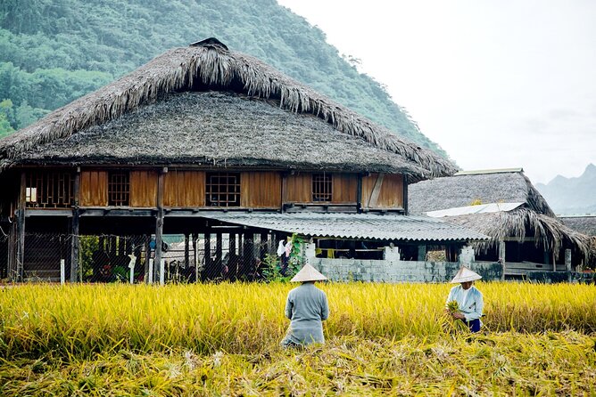 Half Day Sapa Cat Cat Explore Waterfall, Workshop, H'mong Local - Meeting Your Guide in Sapa: Pickup and a Downhill Start