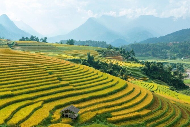 Half Day Sapa Cat Cat Explore Waterfall, Workshop, H'mong Local - Price and Value: Why $28 Works for a Short Sapa Day