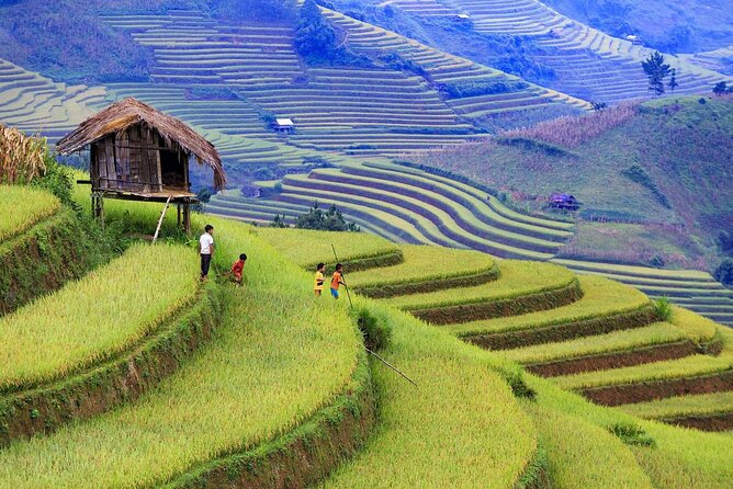 Half Day Sapa Cat Cat Explore Waterfall, Workshop, H'mong Local - Who Should Book This Tour, and Who Might Skip It
