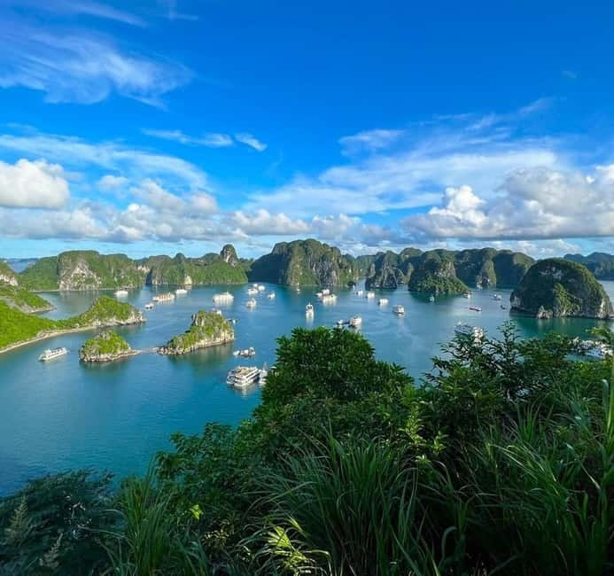 Halong 6 Hours Cruise: Kayak, Cave, Lunch, Beach & Island - Sung Sot Cave: The Surprising Cave With Big-Stalactite Energy