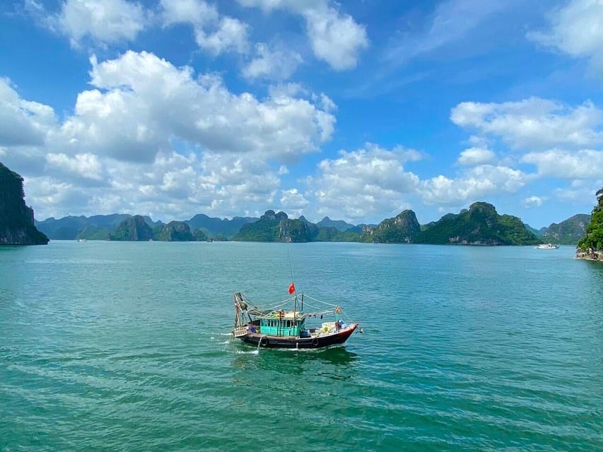 Halong 6 Hours Cruise: Kayak, Cave, Lunch, Beach & Island - Ti Top Island: Beach Swim or Climb for Panoramic Photos