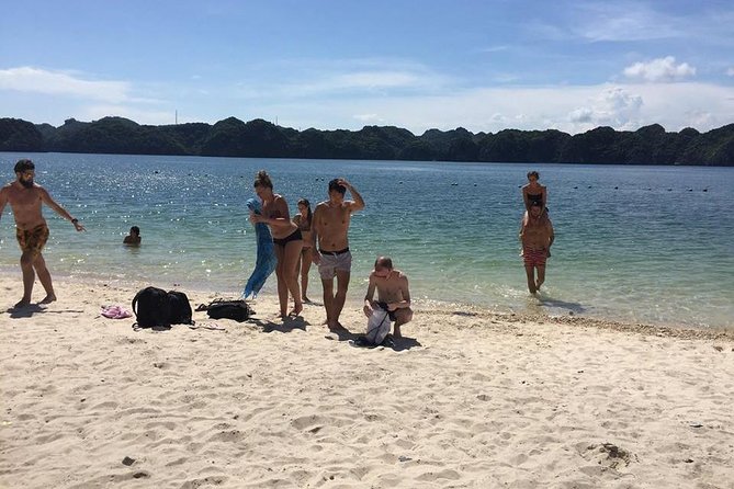 Halong Bay 2 Days 1 Night Included Transfer from Hanoi - Price and logistics: whether $159 feels fair for what’s included