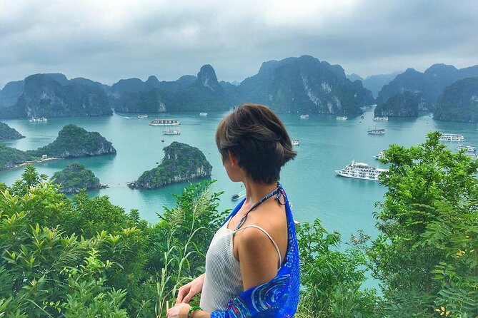 Halong Bay 2Days/1Night 4 Star Cruise Included Pick up & Transfer - Who this cruise is best for (and who might feel annoyed)