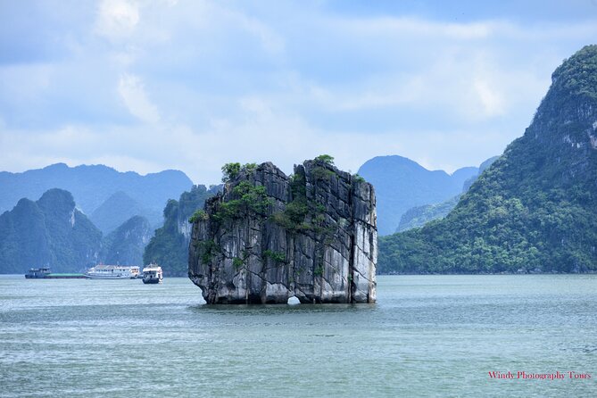 Halong Bay 6 Hours Cruise with Buffet, Sung Sot, Luon Cave, Titop - Price and logistics: how $69 translates into value