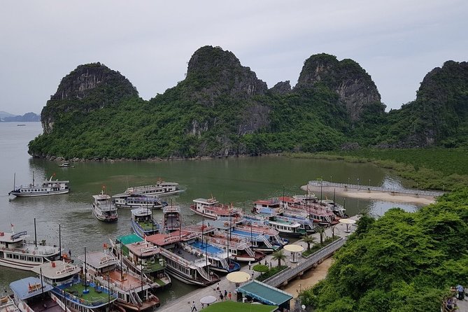 Halong Bay Cruise Tour from Hanoi with Kayak Adventure - Morning pickup in Hanoi: the start that makes or breaks the day