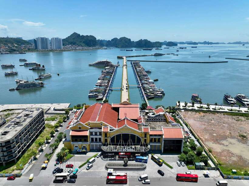 Halong bay day tour: Best seller IRIS CRUISE with live band - Iris Cruise day tour basics: price, time window, and what you’re buying