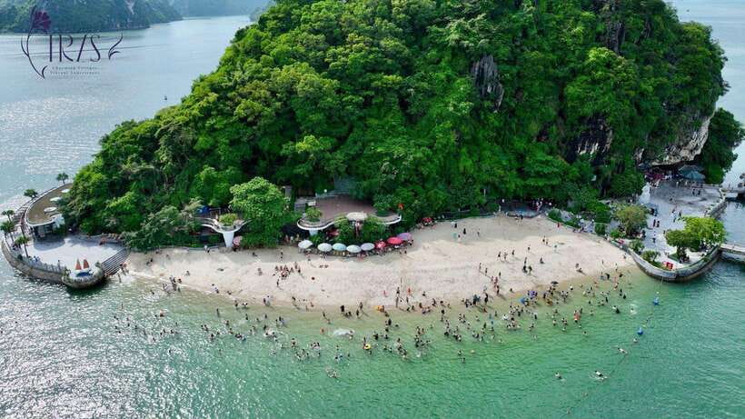 Halong bay day tour: Best seller IRIS CRUISE with live band - Lunch, canapés, and the onboard food rhythm: what’s included and how to plan your appetite