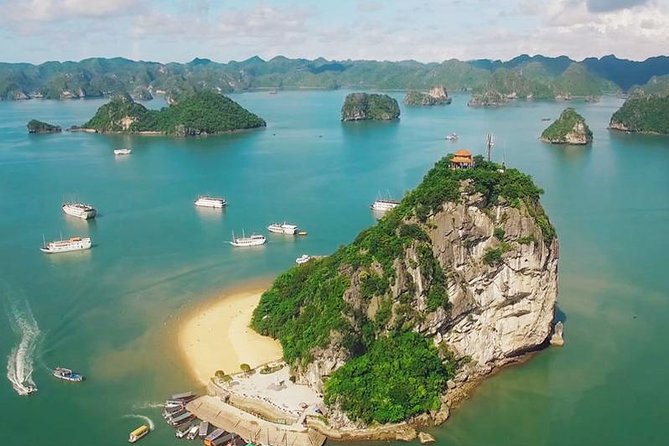 Halong Bay Excursion with Caving, Swimming and Kayaking - Cruising Time + Seafood Lunch on Board: The Value of a 5-Hour Float