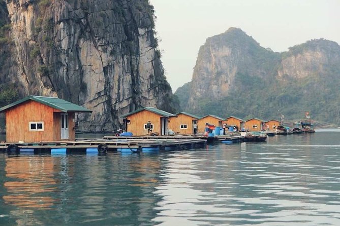 Halong Bay Full-Day Adventure Cruise from Hanoi - Boat quality, group size, and that guide factor