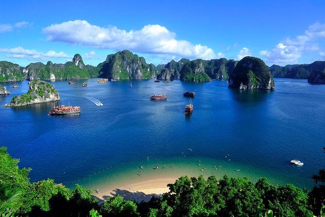 Halong Bay Full Day Tour with All-Inclusive: Boat, Kayak, Island, Cave and Lunch - Tuan Chau Harbor and the boat day rhythm