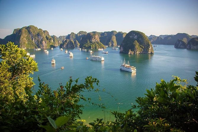 Halong Bay In Just One Day with Ti Top Island - Sung Sot Cave (Surprising Cave): Big Rooms, Big Footsteps