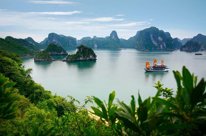 Halong Bay Luxury Cruise one day Tours - Price and value: is $82.06 worth it for this day?