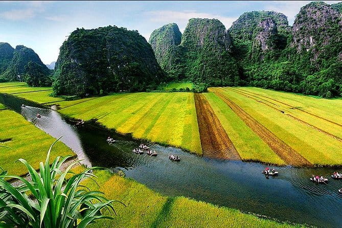 Halong Bay Shore Excursion 6 Hour Private Cruise from Cruise Port - TiTop Island: Swimming or the View From the Peak