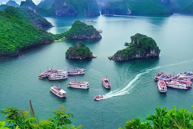 Halong Day Trip From Hanoi - Cave visit plus seafood lunch on board: comfort with the view