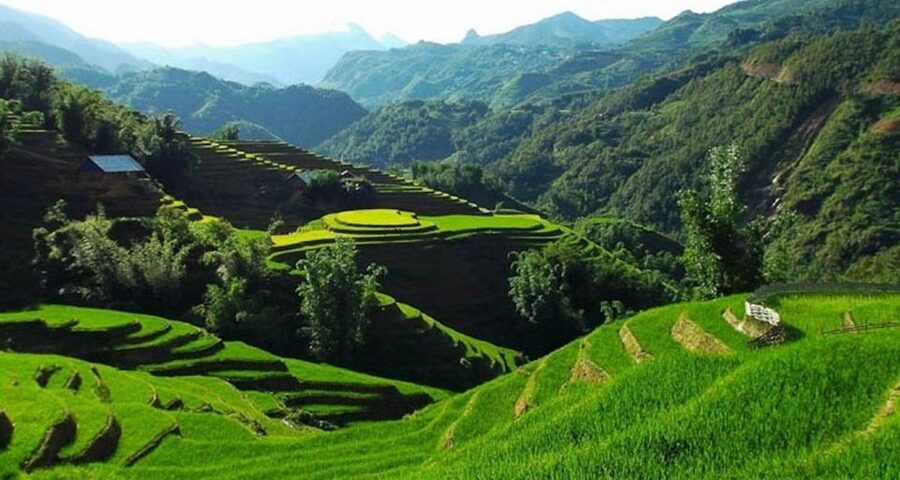 Hanoi: 2-Day Sa Pa Guided Village & Homestay Trekking Tour - Price and What You Really Get for $84