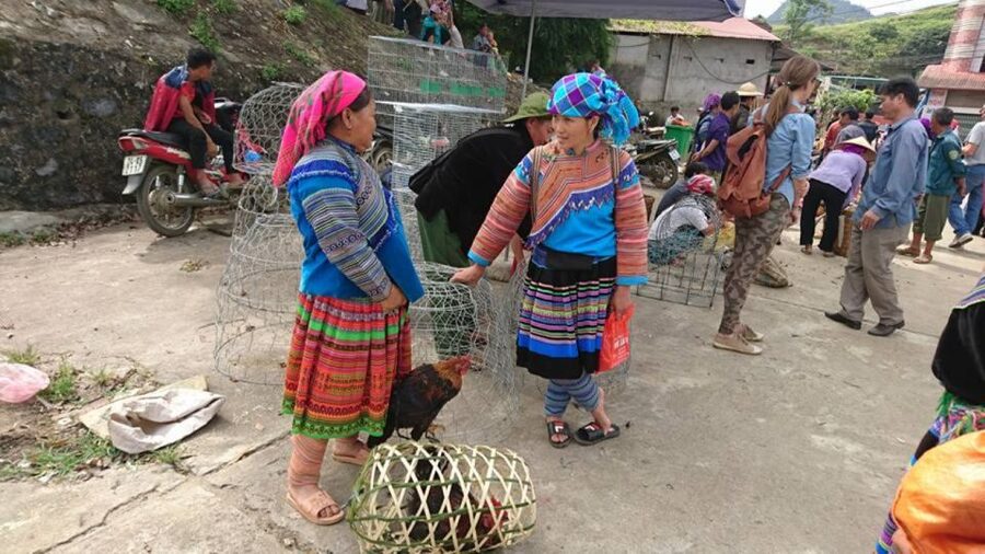 Hanoi: 2-Day Sa Pa Guided Village & Homestay Trekking Tour - Best Time to Go (What Cold and Fog Mean for Your Trek)