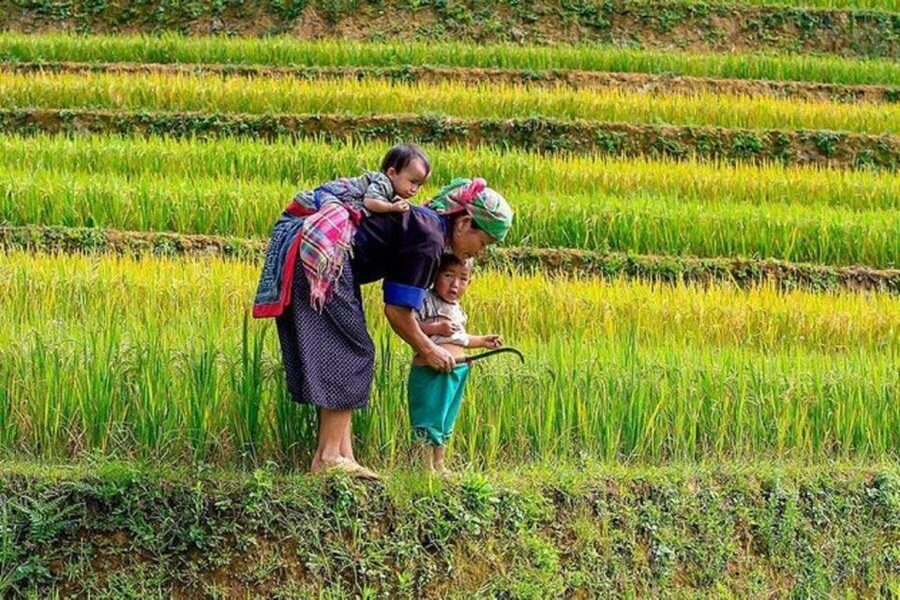 Hanoi: 2-Day Sa Pa Guided Village & Homestay Trekking Tour - Hanoi to Sapa: The Early Start That Sets the Pace