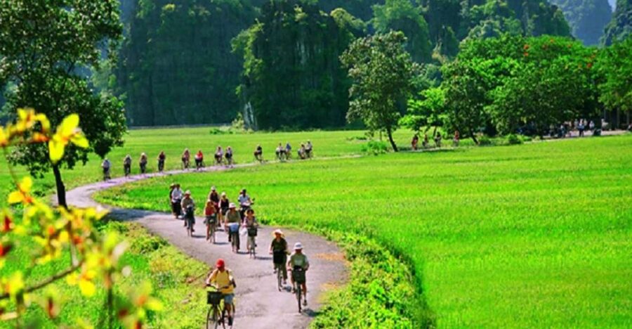 Hanoi: 2-Day Tour to Ninh Binh & Halong Bay With Transfer - Why this 2-day combo works: temples, boat caves, and Ha Long in one run