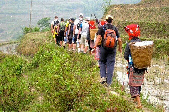 Hanoi- 2 Days Sapa moutain trekking with Local Guide and Homestay - Guide quality: why English support matters more than you think