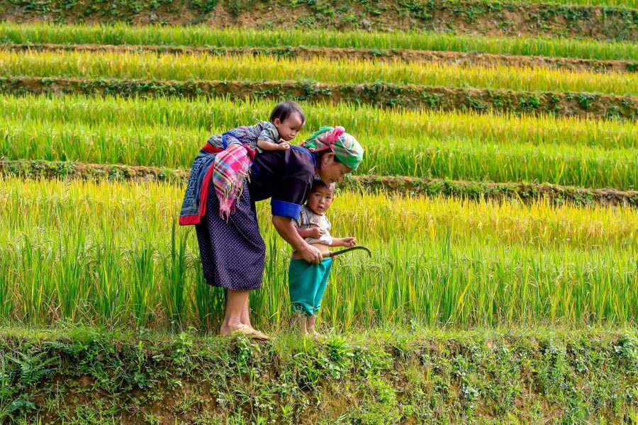 Hanoi: 3-Day Sapa Trek with Homestay - Key things that make this Sapa trek work