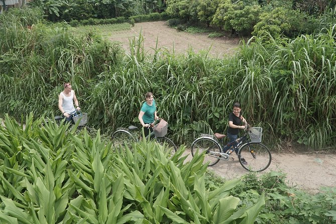 Hanoi Backstreet Bicycle Tour - A short break for daily shop life and market color