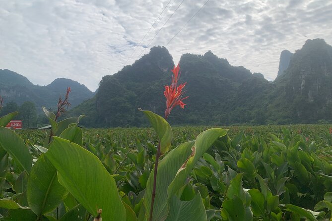 Hanoi - Cao Bang city - Ban Gioc Warterfall 2days/2nights ED7 - Cao Bang Province craft villages and the cultural angle