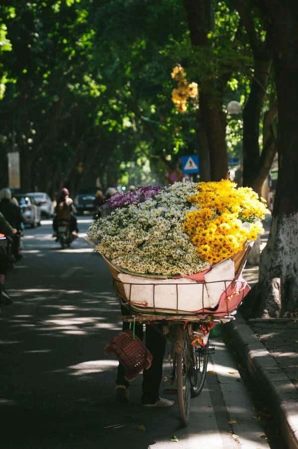 Hanoi: City Highlights Tour with Train Street & Hidden Gems - Getting Oriented in Hoàn Kiếm (and Why the 4-Hour Format Works)