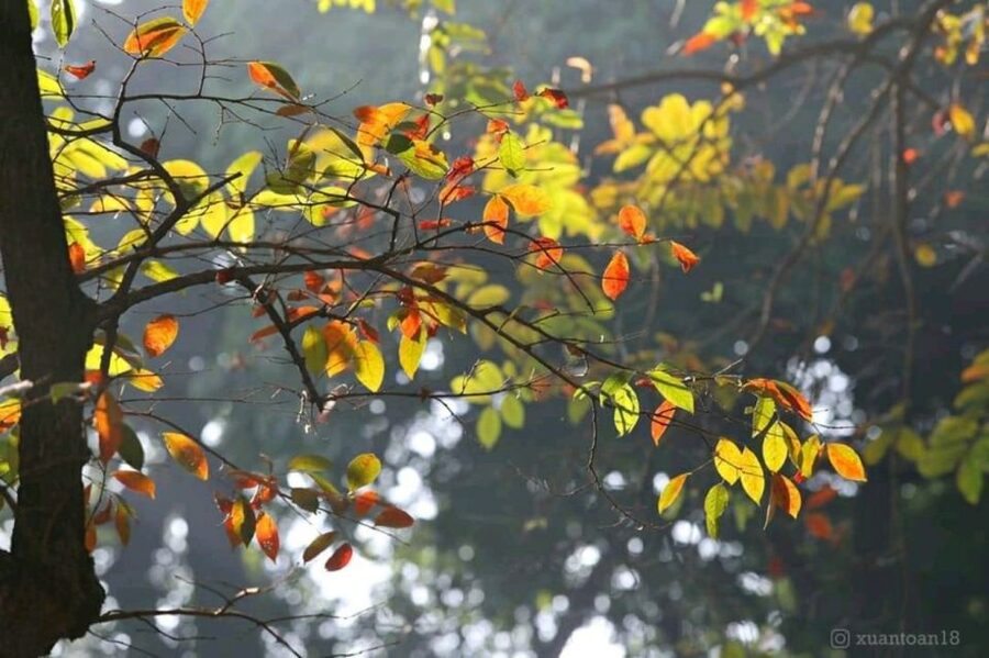 Hanoi: City Highlights Tour with Transfer and Lunch - Key Highlights You’ll Actually Feel