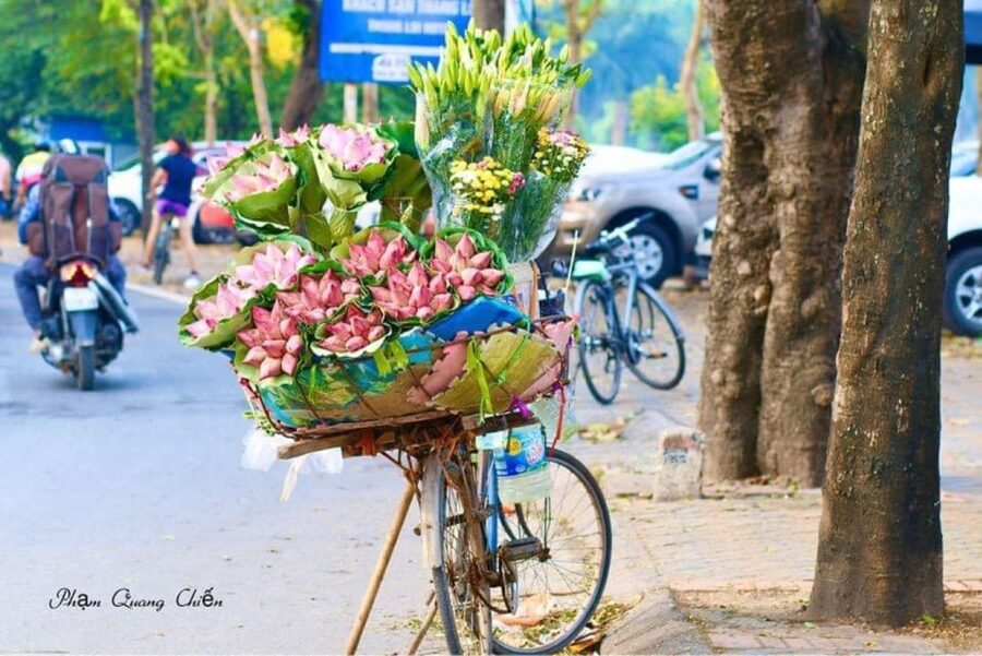 Hanoi: City Highlights Tour with Transfer and Lunch - Tran Quoc Pagoda by West Lake: A Heritage Stop That Breaks the Pace